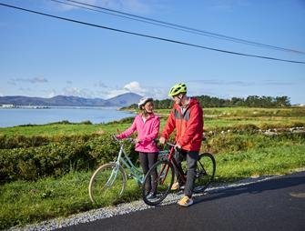Tralee, Dingle