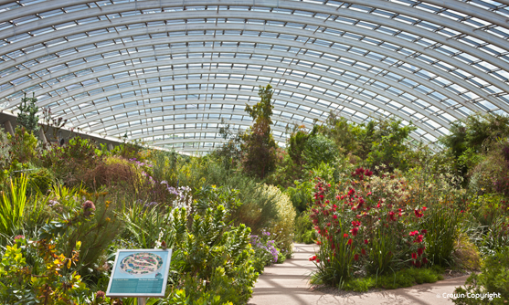 National Botanic Garden of Wales