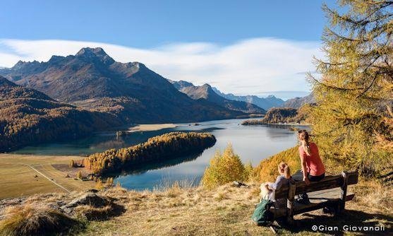 highlight De Alpen in een notendop