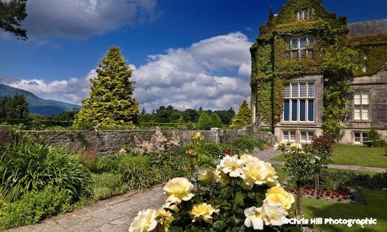 highlight blooming ireland.jpg