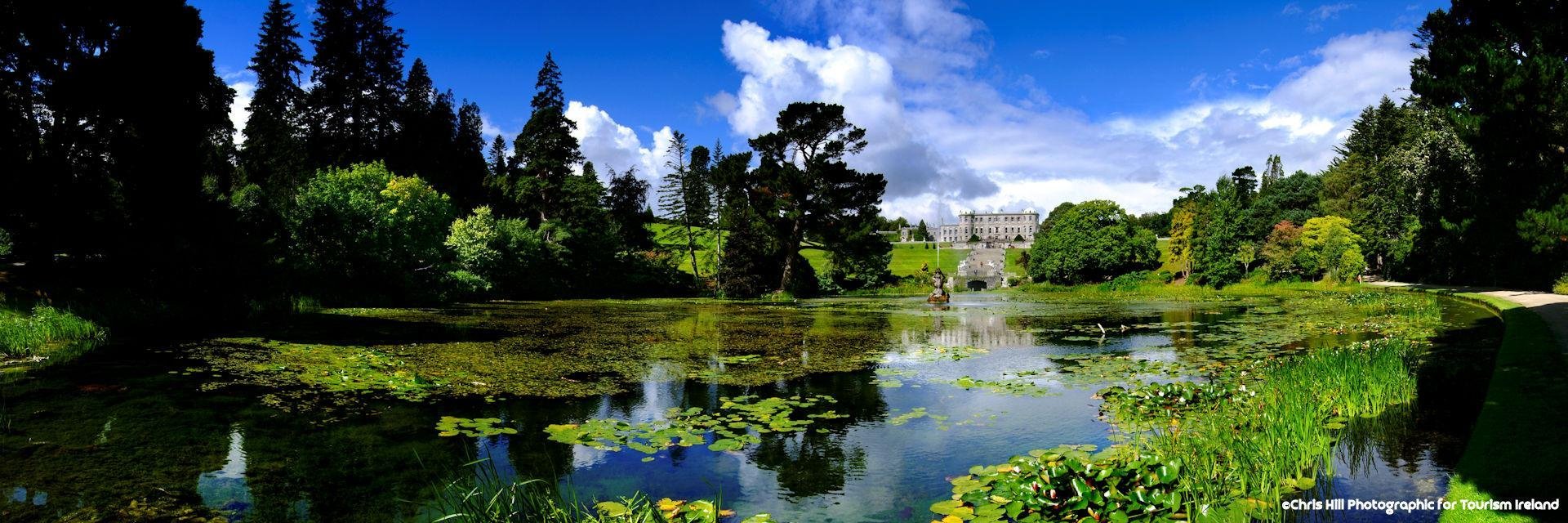 3 blooming ireland.jpg