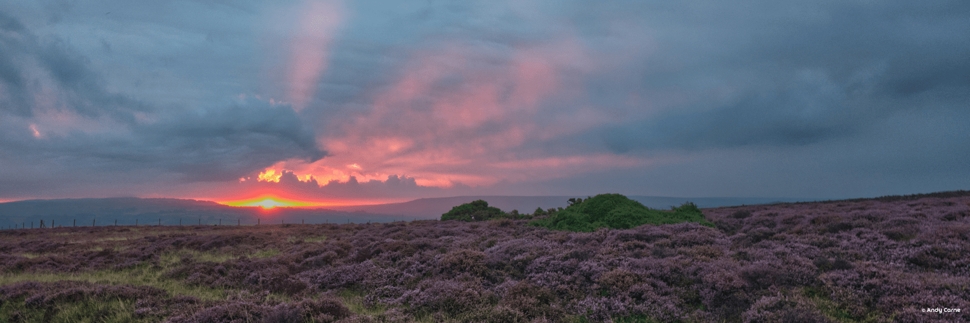 North York Moors