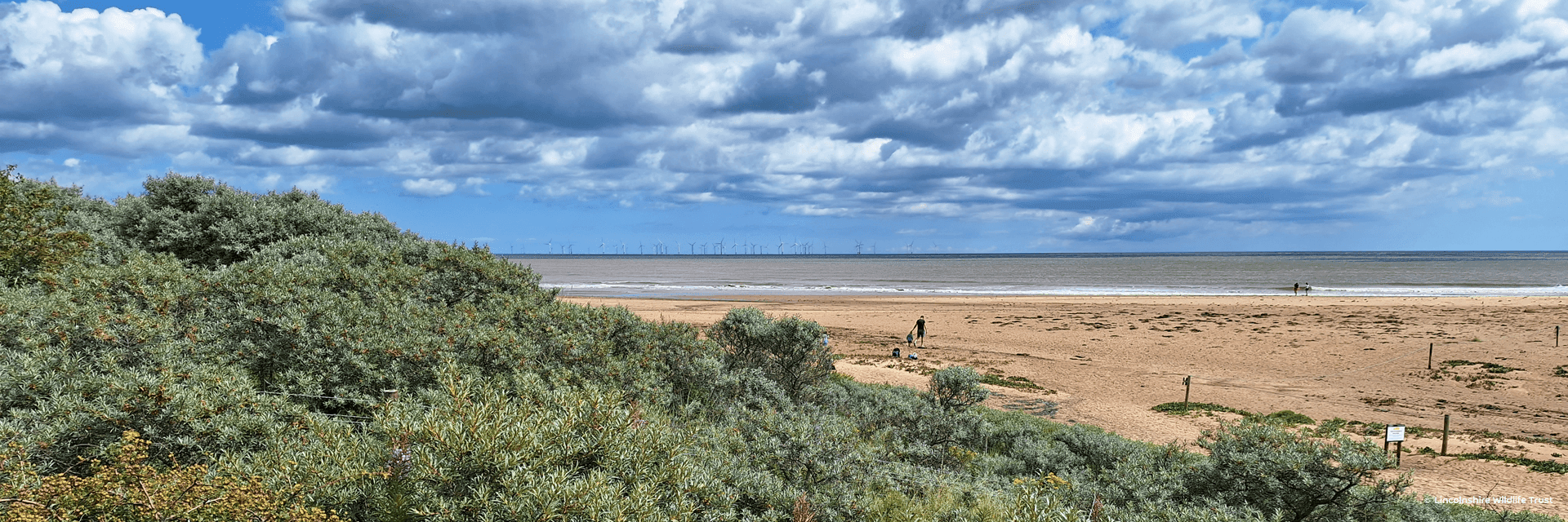 Gibraltar National Nature Reserver Park Lincolnshire.png